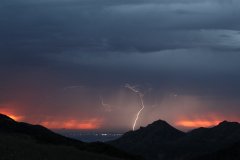 Richard Gillard Photography- Photojournalism