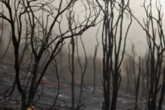 Richard Gillard Photography- Photojournalism