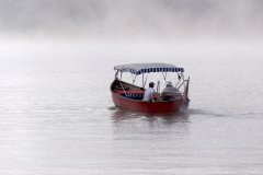 Richard Gillard Photography- Photojournalism