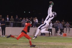 Richard Gillard Photography - Sports