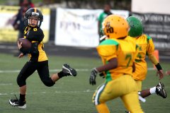 Richard Gillard Photography - Sports