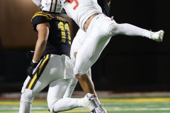 Richard Gillard Photography - Sports