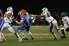 Richard Gillard Photography - Sports