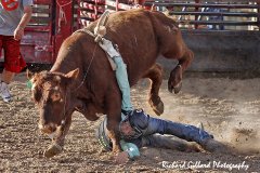 Richard Gillard Photography - Sports